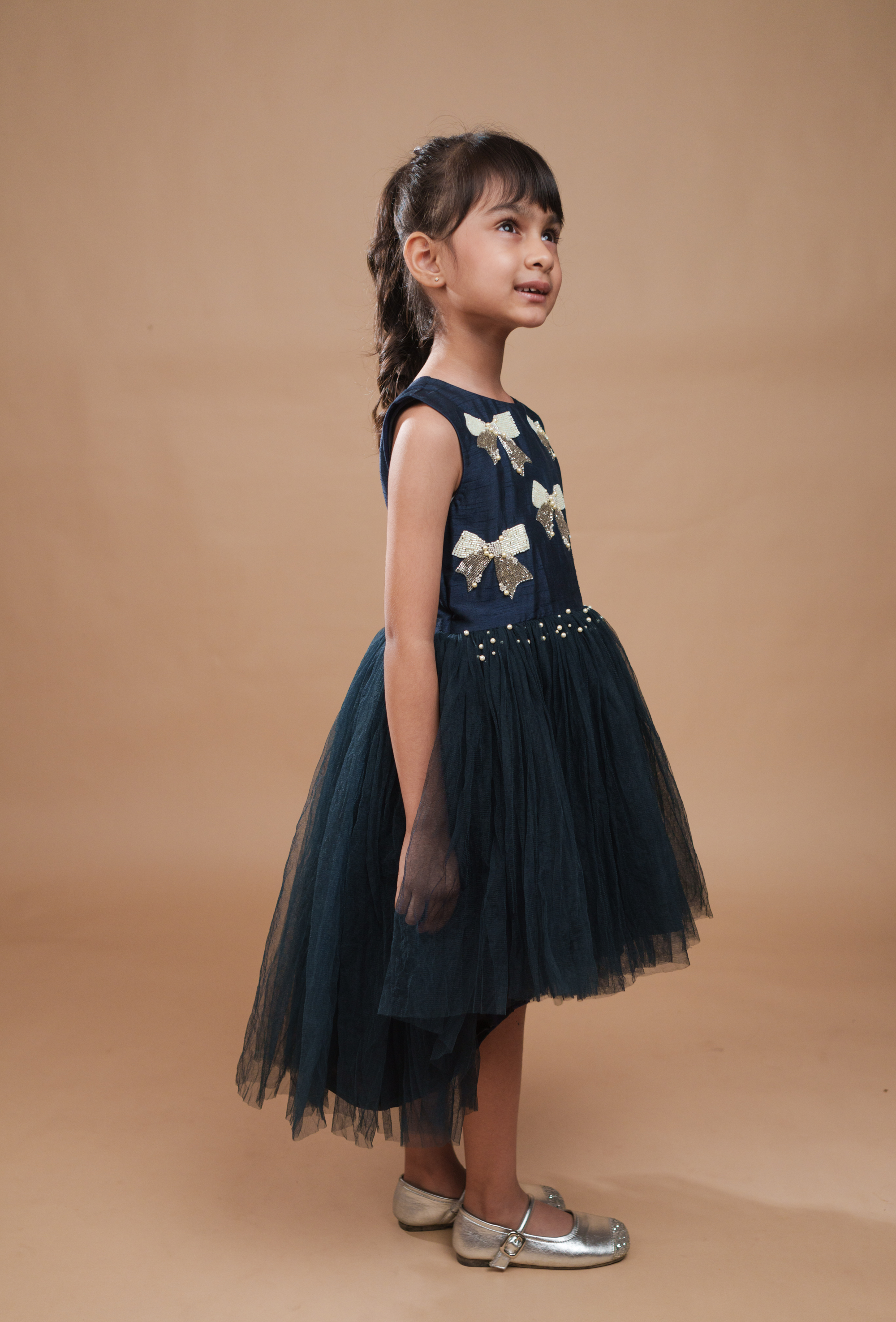 Navy Blue Tulle Dress with Embellished bows