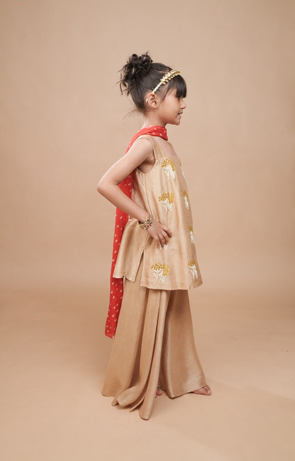 Sunehra Weave Palazzo Set