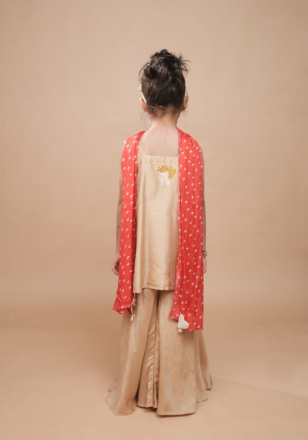 Sunehra Weave Palazzo Set