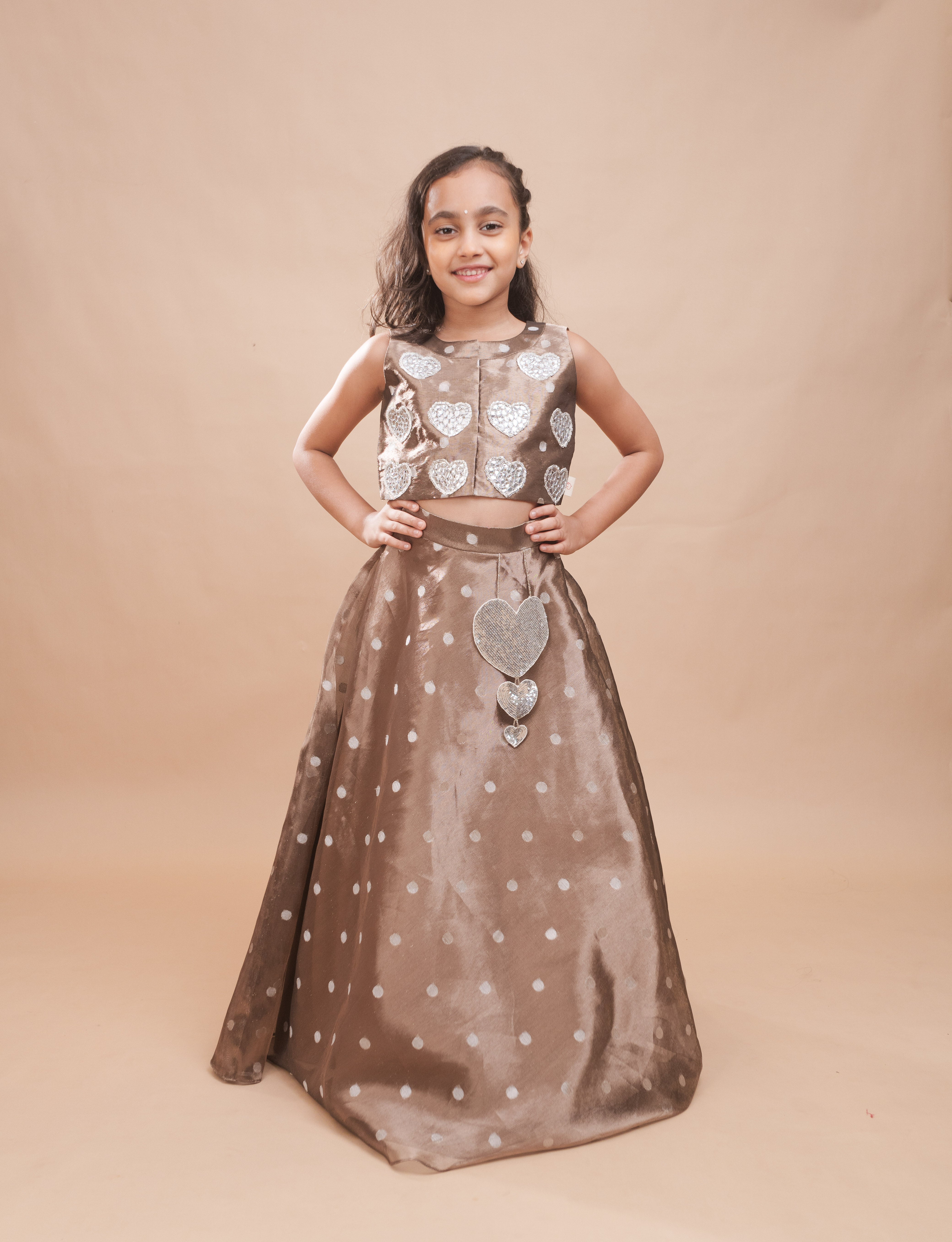 Dilruba Organza Lehenga Set