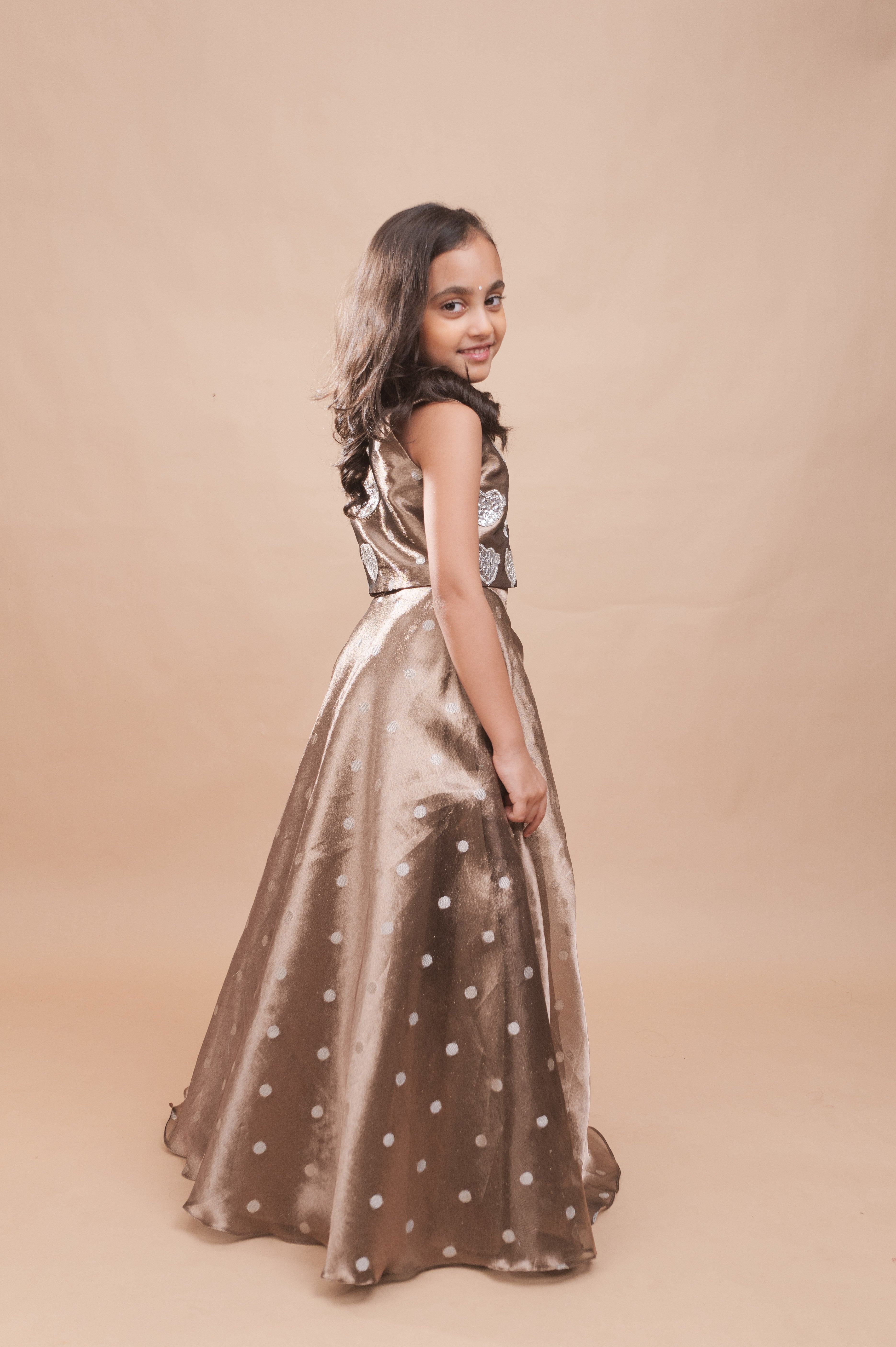 Dilruba Organza Lehenga Set