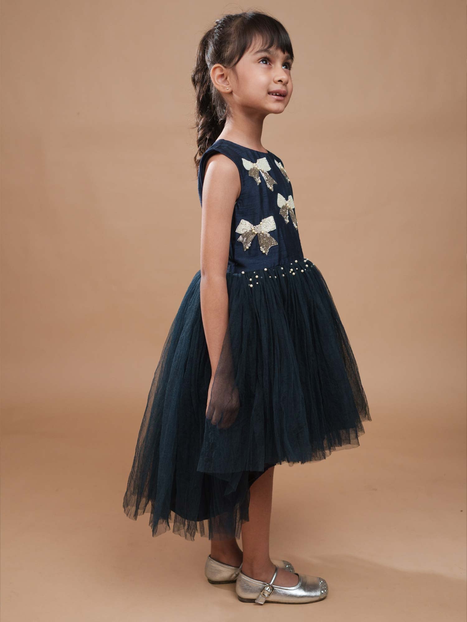 Navy Blue Tulle Dress with Embellished bows