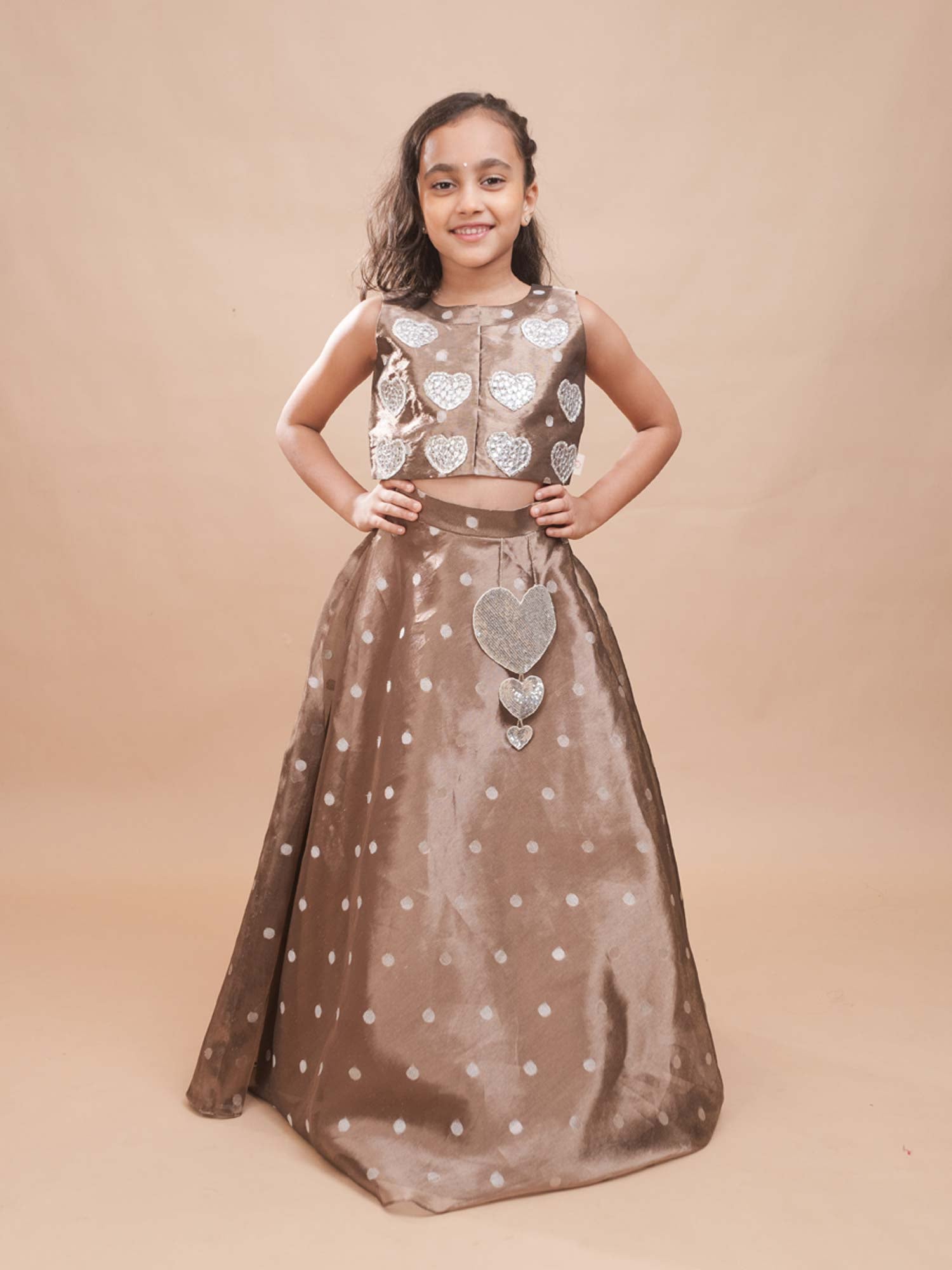 Dilruba Organza Lehenga Set