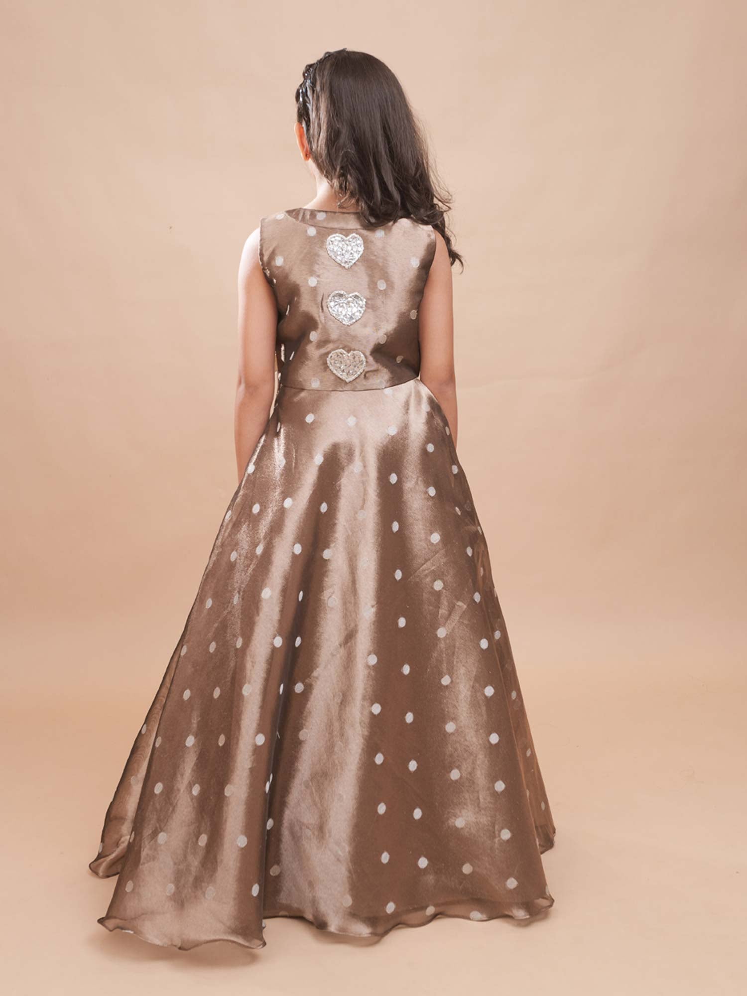 Dilruba Organza Lehenga Set