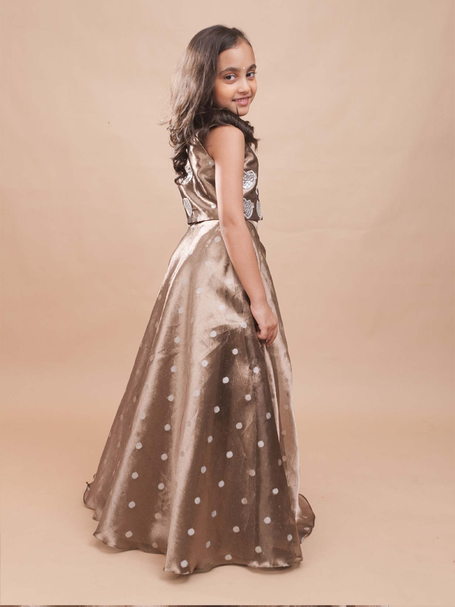 Dilruba Organza Lehenga Set
